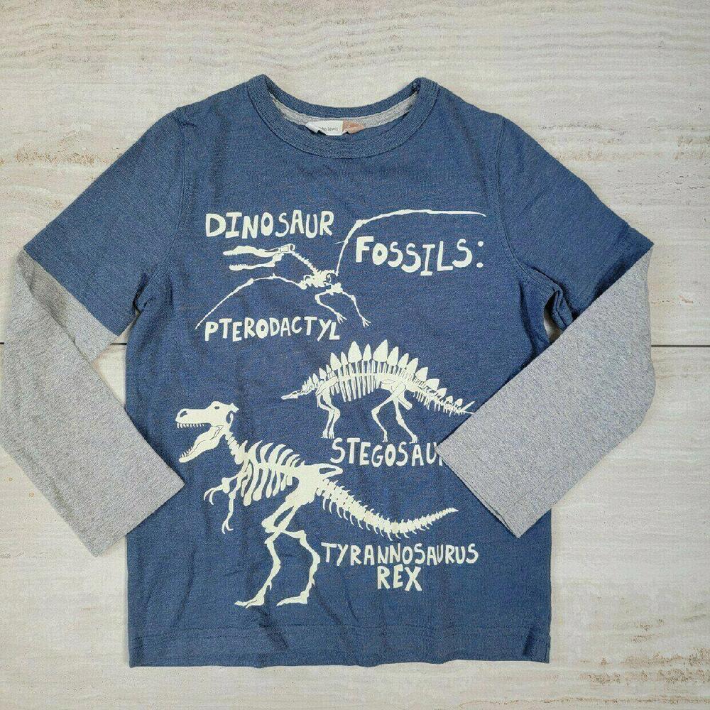 Kids' Dinosaur Fossils Graphic Long Sleeve T-Shirt